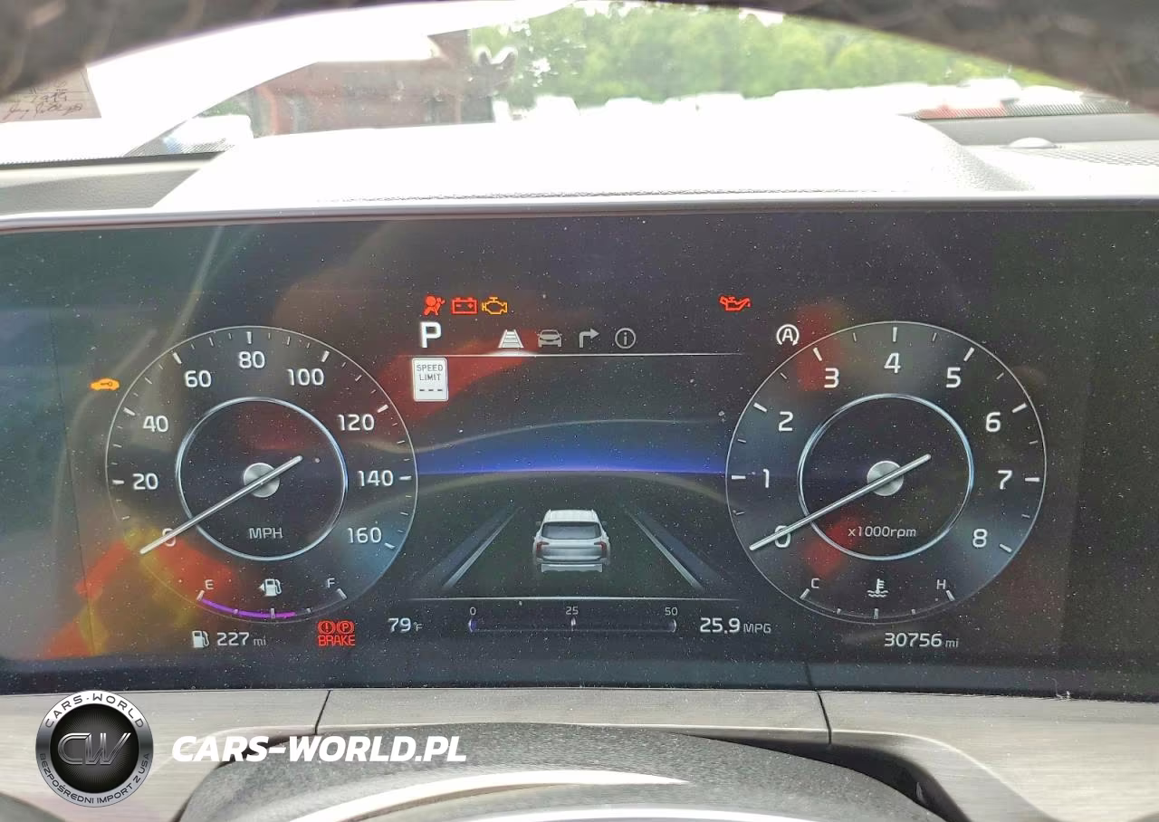2024 Kia Telluride Sx-Prestige X-Line VIN:5XYP5DGC3RG436016 - 9