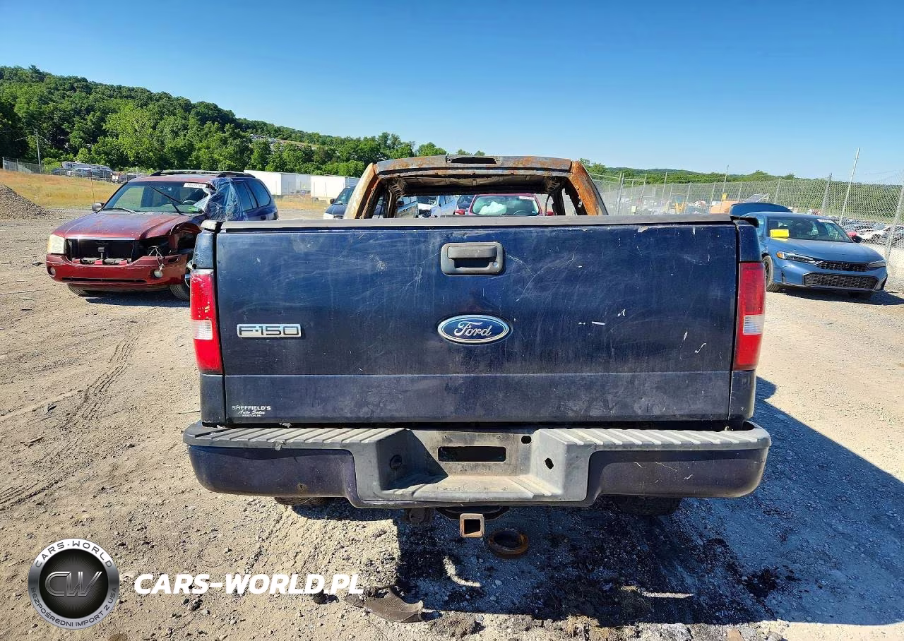 2004 Ford F150 VIN:1FTPX14504NC73437 - 6