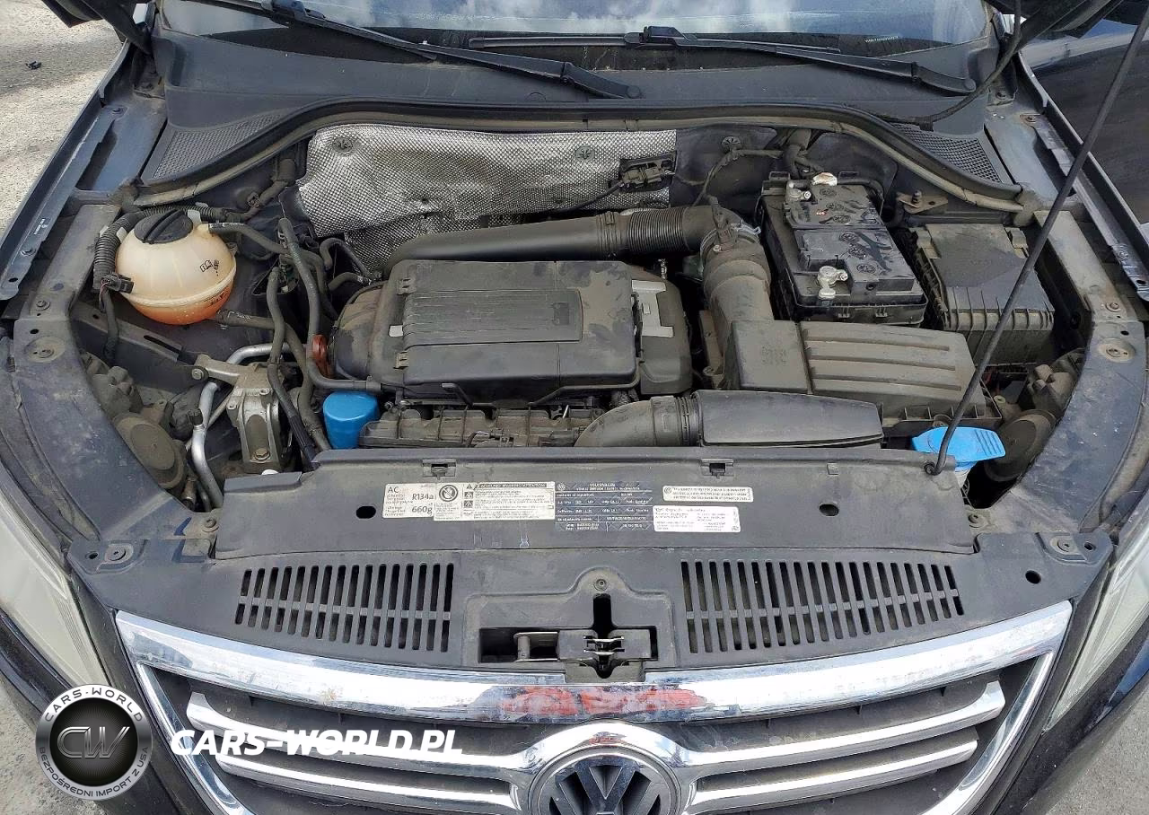2011 Volkswagen Tiguan S VIN:WVGBV7AX6BW556274 - 11