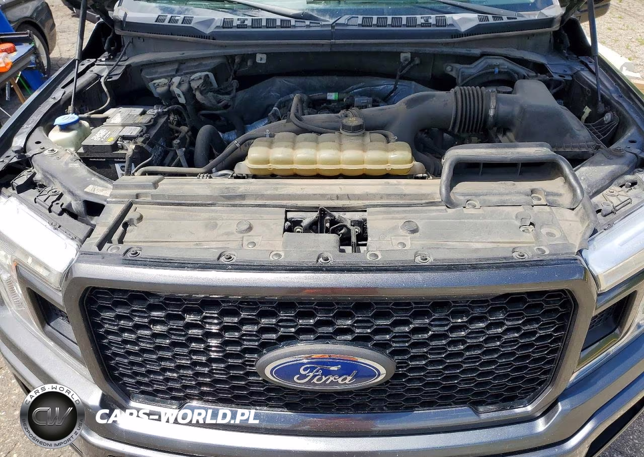 2019 Ford F150 Supercrew VIN:1FTEW1EP5KKC67786 - 11