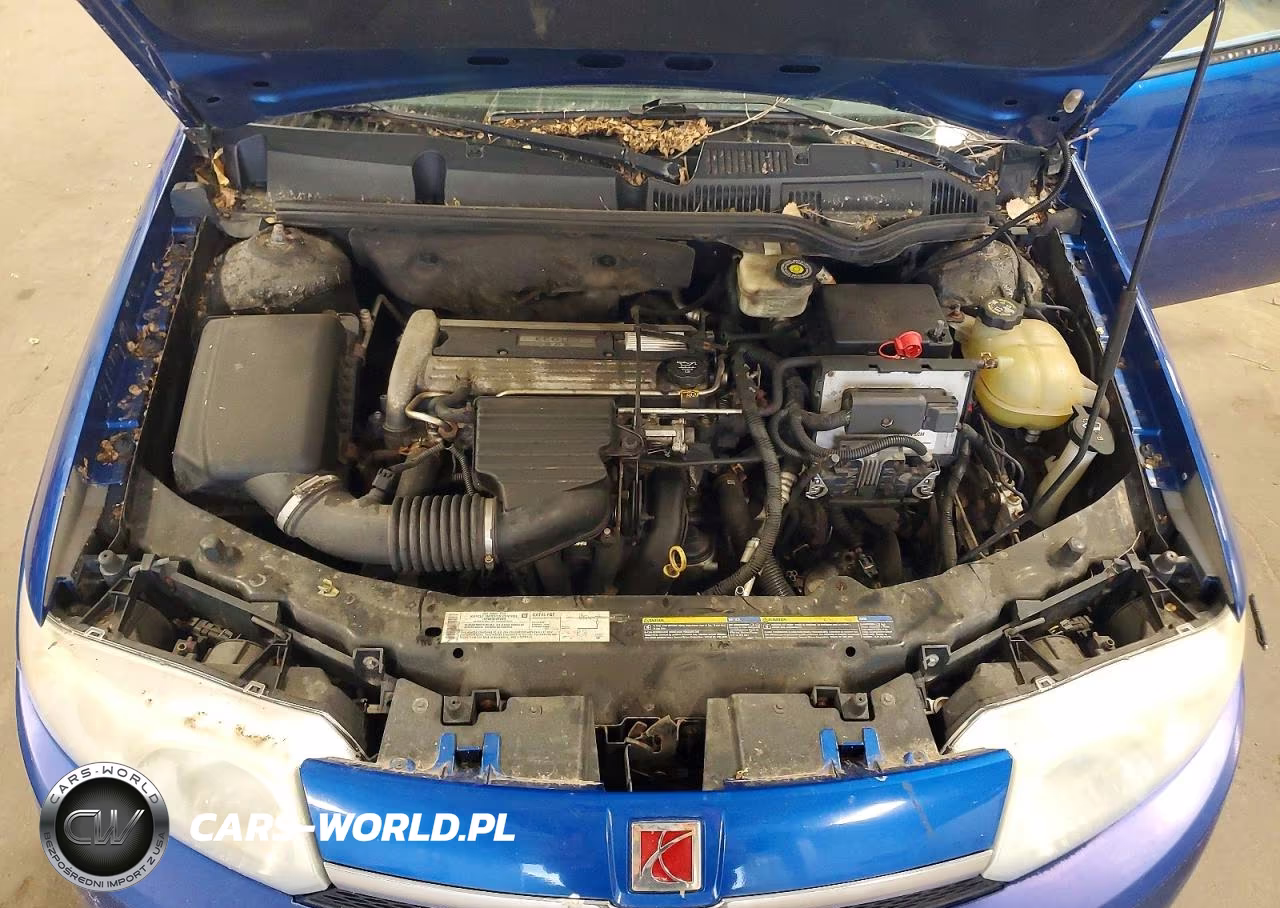 2004 Saturn Ion Level 2 VIN:1G8AJ52F34Z133086 - 11