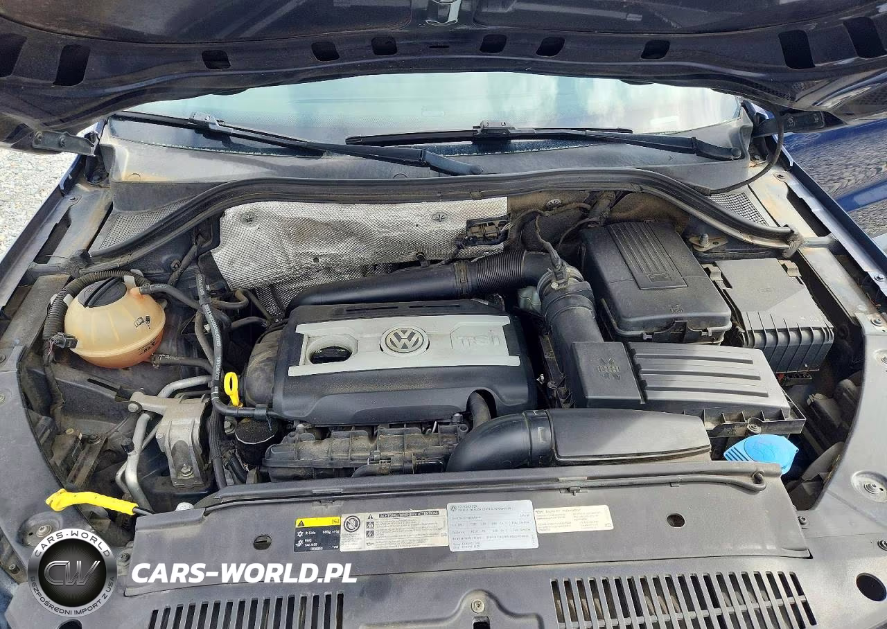 2016 Volkswagen Tiguan S VIN:WVGAV7AXXGW511812 - 12