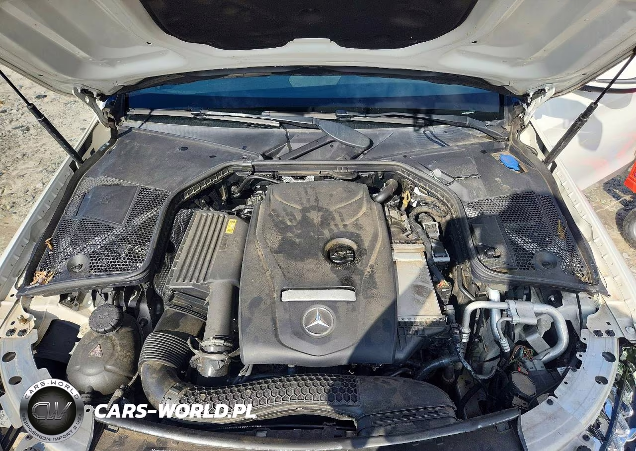 2018 Mercedes-Benz C 300 VIN:55SWF4JB0JU268306 - 11
