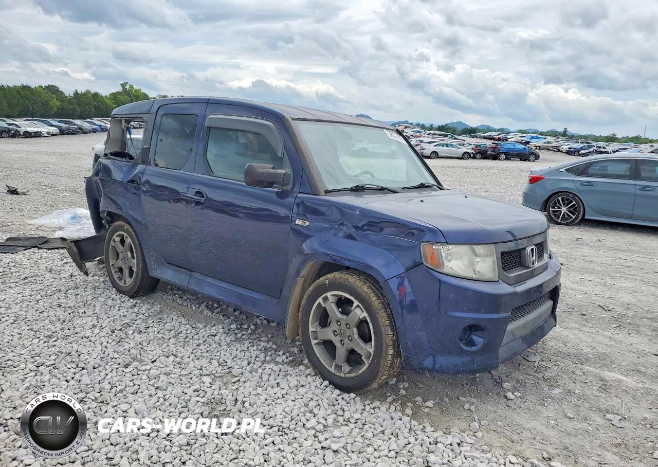 2010 Honda Element Sc VIN:5J6YH1H90AL006685 - 4