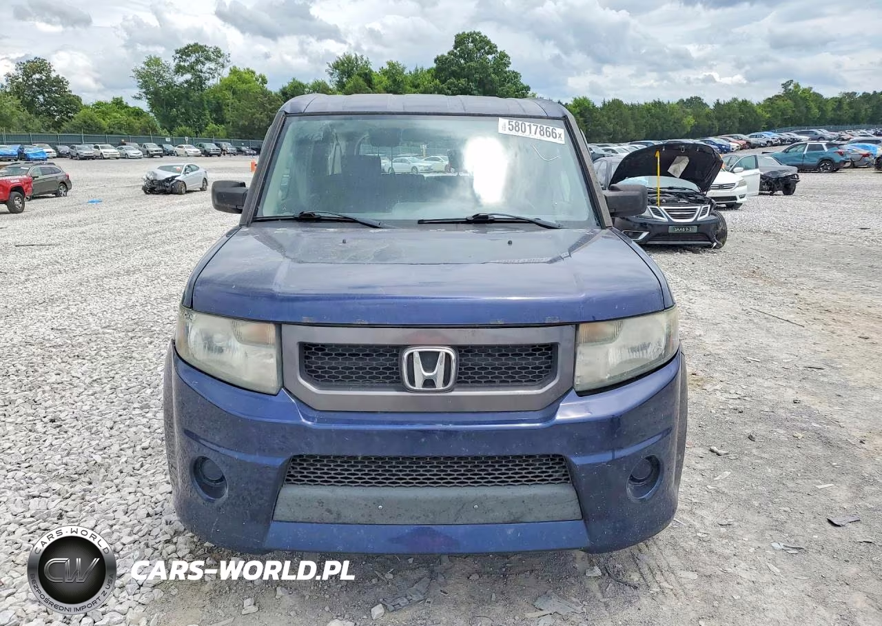 2010 Honda Element Sc VIN:5J6YH1H90AL006685 - 5
