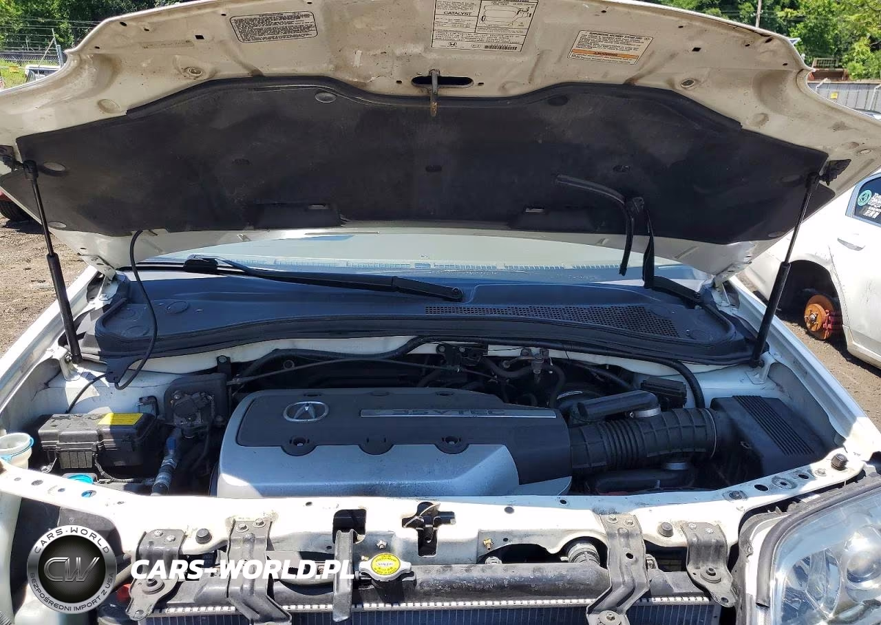 2004 Acura Mdx Touring VIN:2HNYD18824H530831 - 11