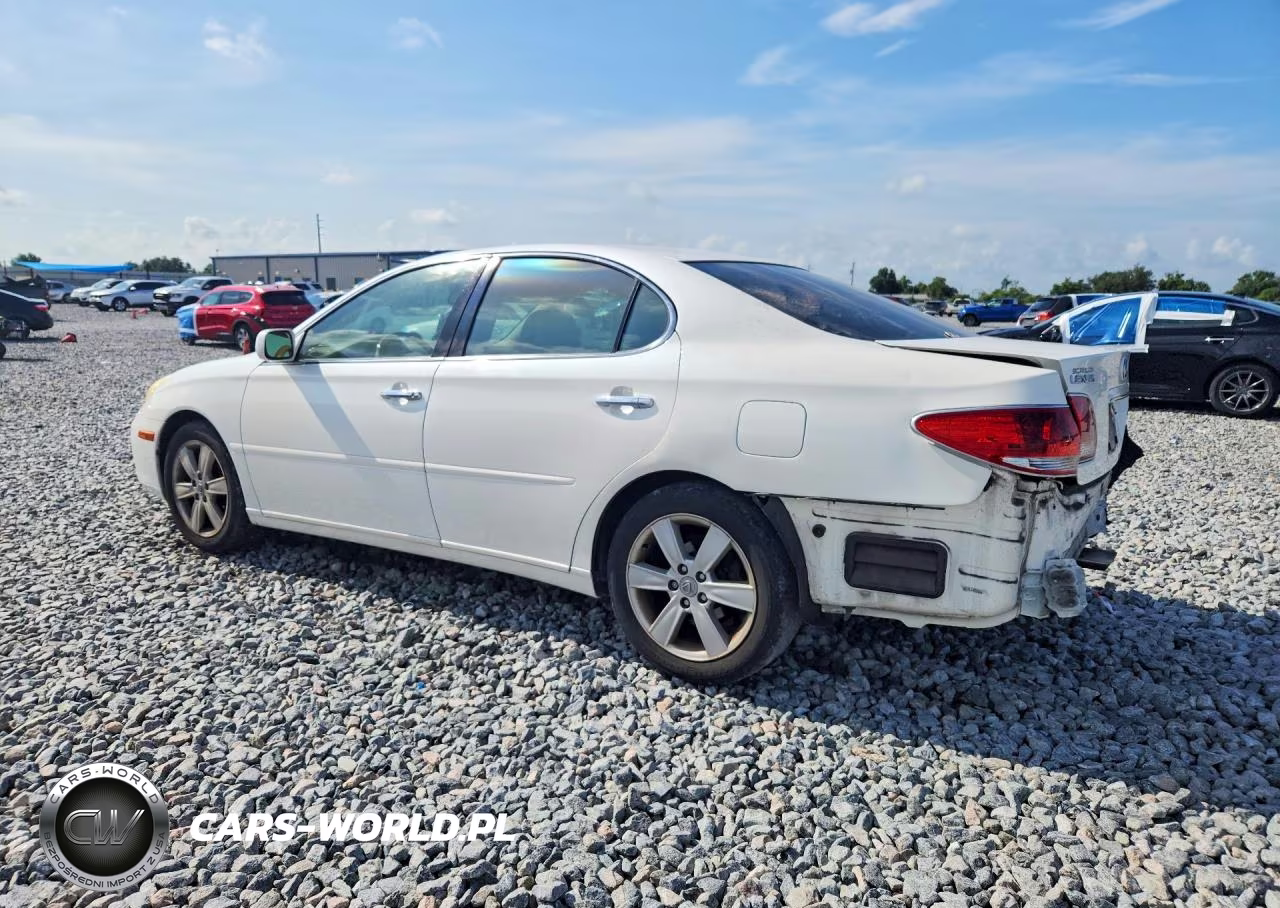 2005 Lexus Es 330 VIN:JTHBA30G655105056 - 2