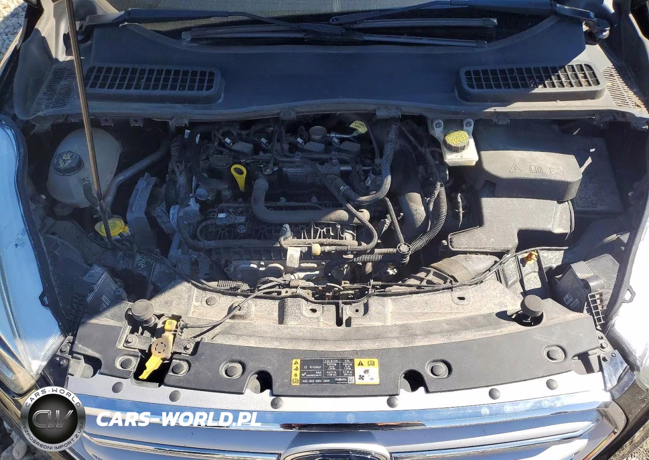 2019 Ford Escape Sel VIN:1FMCU9HDXKUA98698 - 12