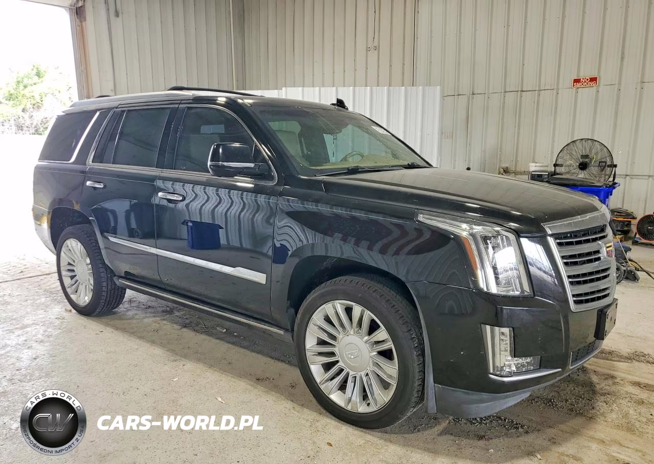 2018 Cadillac Escalade Platinum VIN:1GYS4DKJ5JR206237 - 4