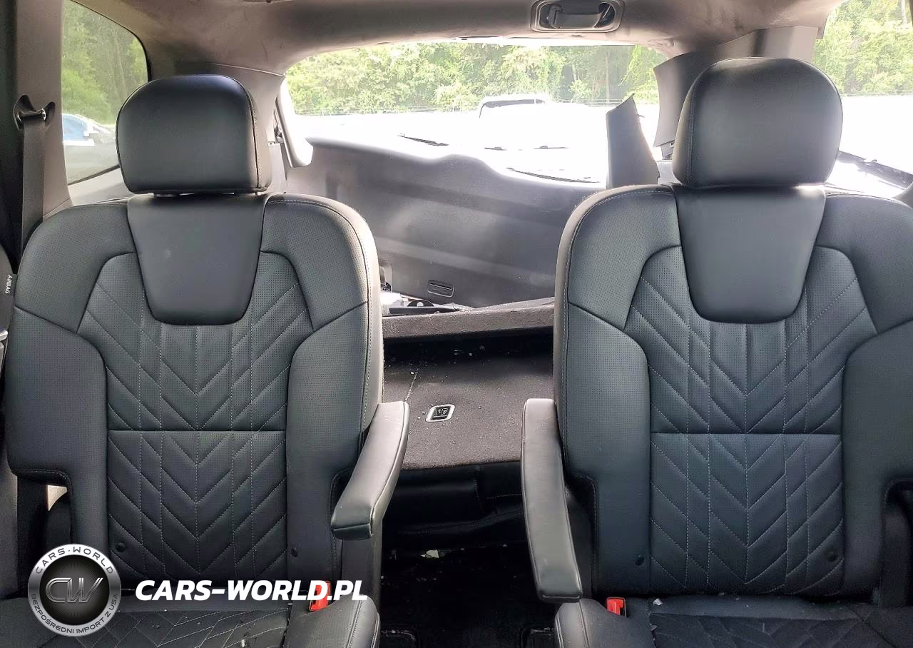 2025 Kia Telluride Sx-Prestige X-Line VIN:5XYP5DGCXSG690523 - 10