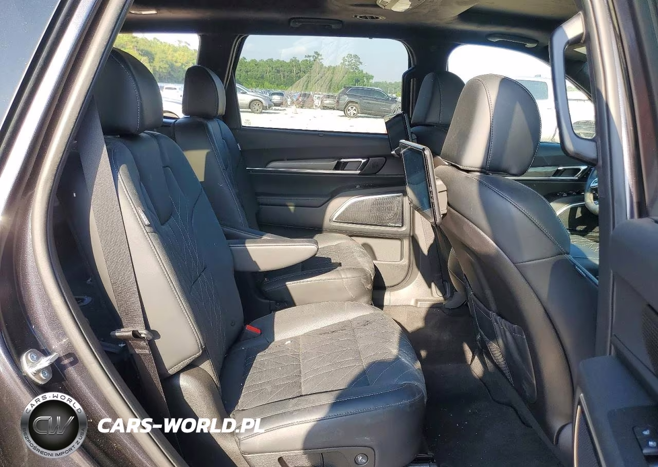 2025 Kia Telluride Sx-Prestige X-Line VIN:5XYP5DGCXSG690523 - 11