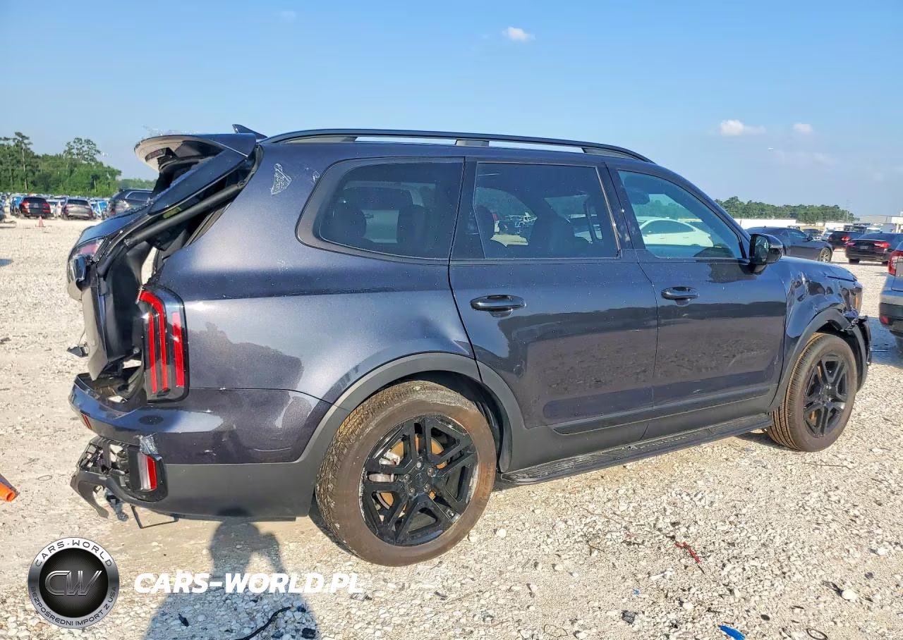 2025 Kia Telluride Sx-Prestige X-Line VIN:5XYP5DGCXSG690523 - 3