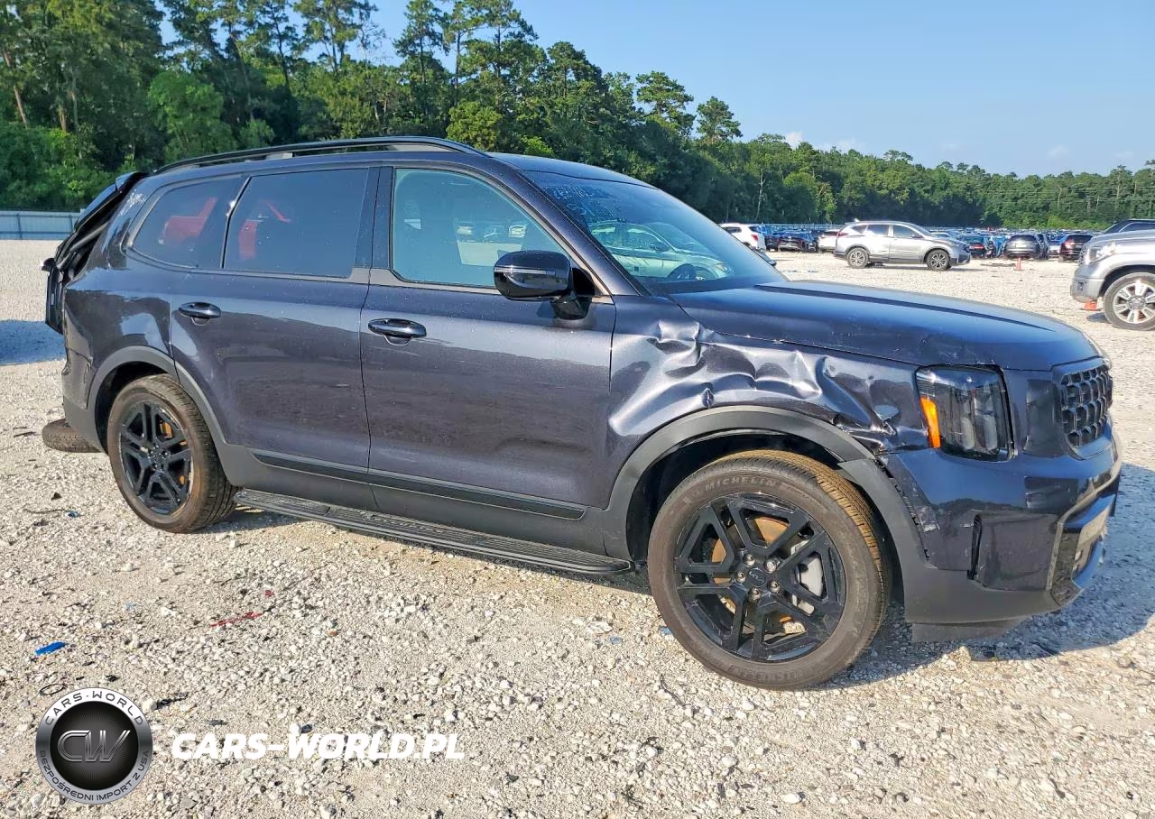 2025 Kia Telluride Sx-Prestige X-Line VIN:5XYP5DGCXSG690523 - 4
