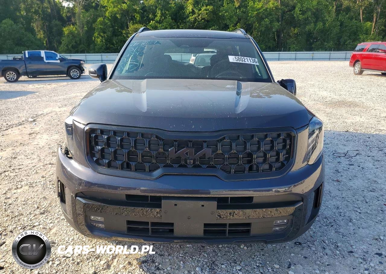 2025 Kia Telluride Sx-Prestige X-Line VIN:5XYP5DGCXSG690523 - 5