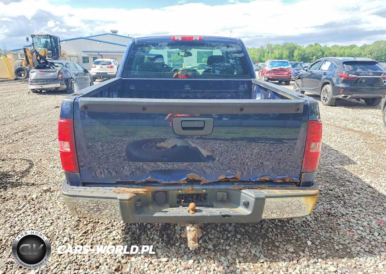 2009 Chevrolet Silverado C1500 VIN:1GCEC19X69Z250726 - 6