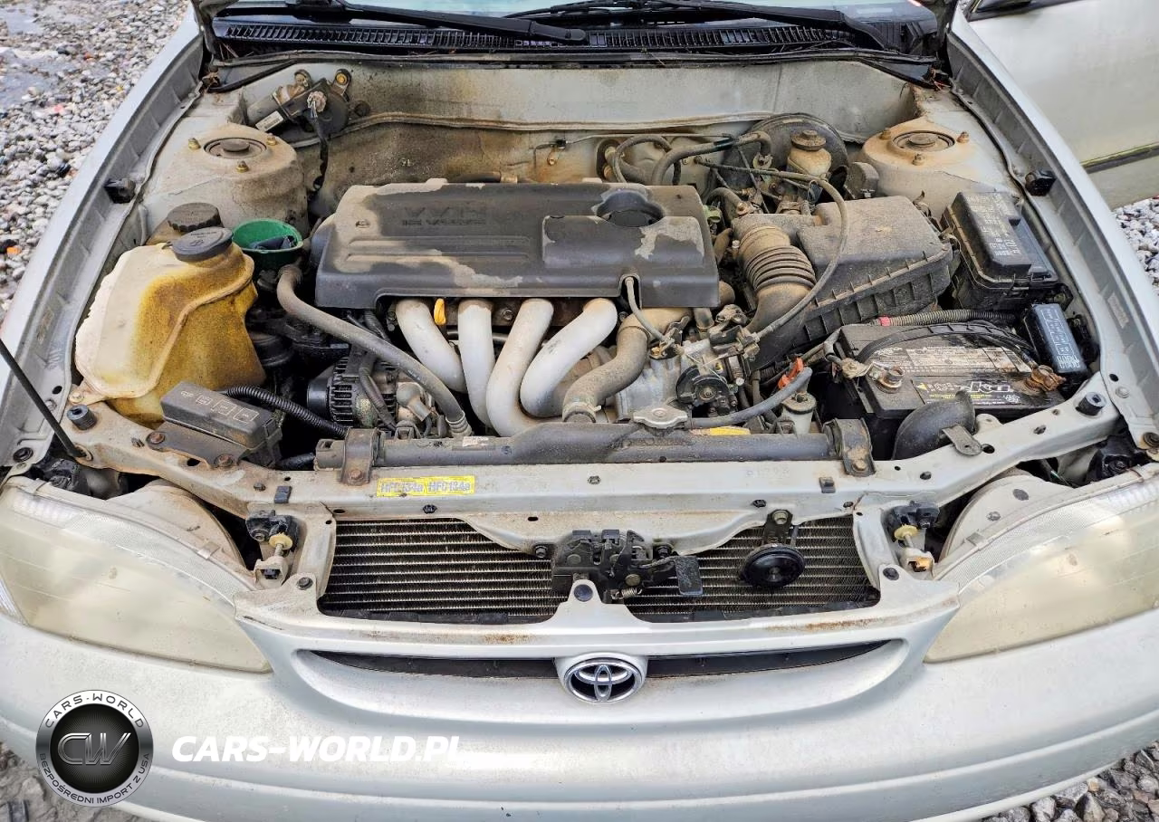 2000 Toyota Corolla Ve-Ce-Le VIN:1NXBR12E7YZ400764 - 11