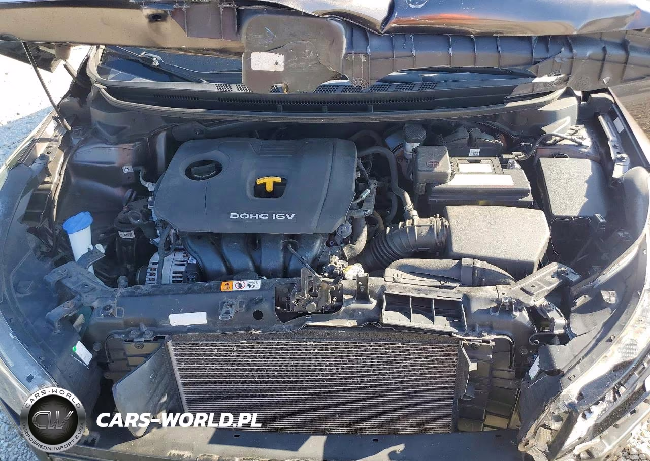 2017 Kia Forte Lx VIN:3KPFK4A78HE104259 - 11