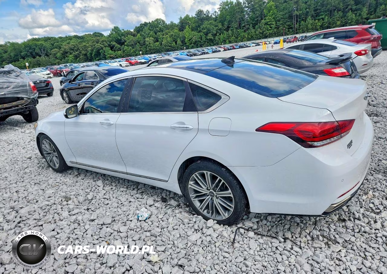 2018 Genesis G80 3.8 VIN:KMHGN4JE8JU227623 - 2
