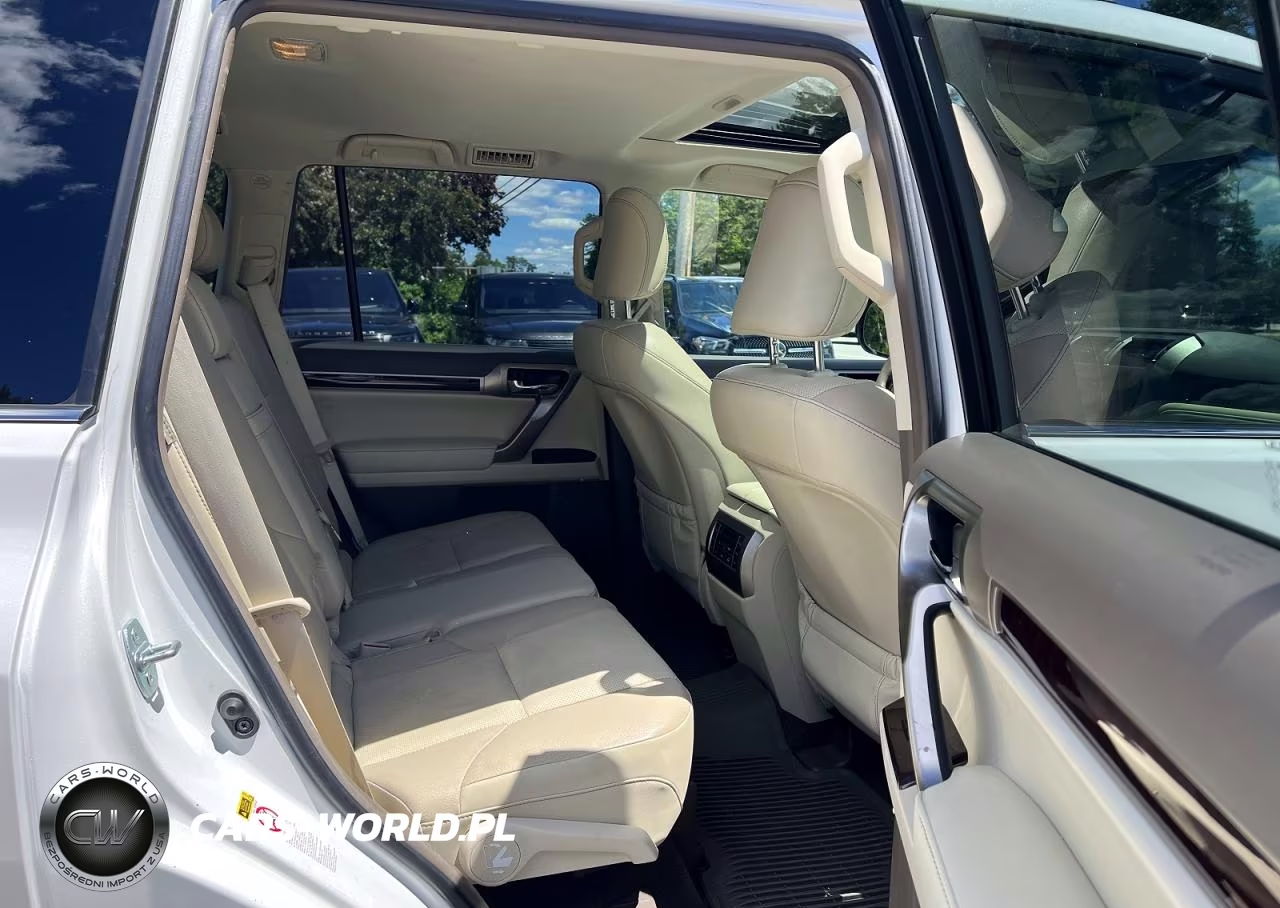 2019 Lexus Gx 460 VIN:JTJBM7FX1K5210958 - 6
