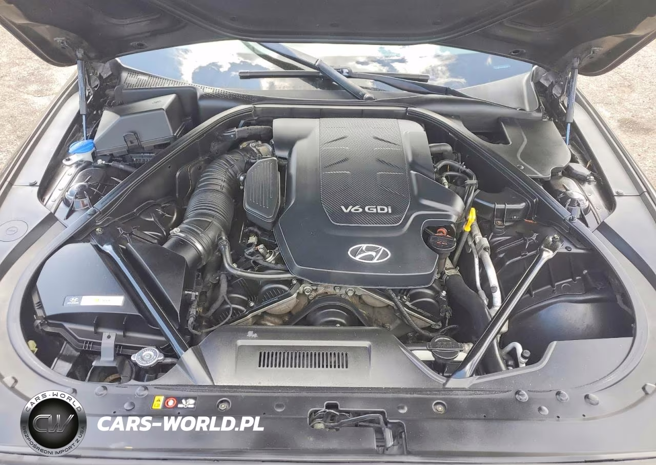 2015 Hyundai Genesis 3.8L VIN:KMHGN4JE5FU089188 - 11