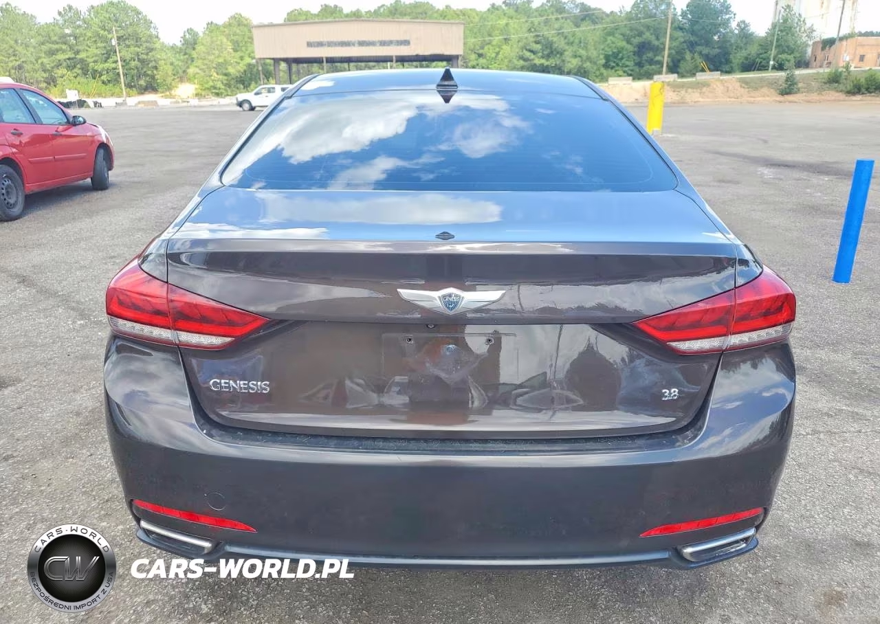 2015 Hyundai Genesis 3.8L VIN:KMHGN4JE5FU089188 - 6