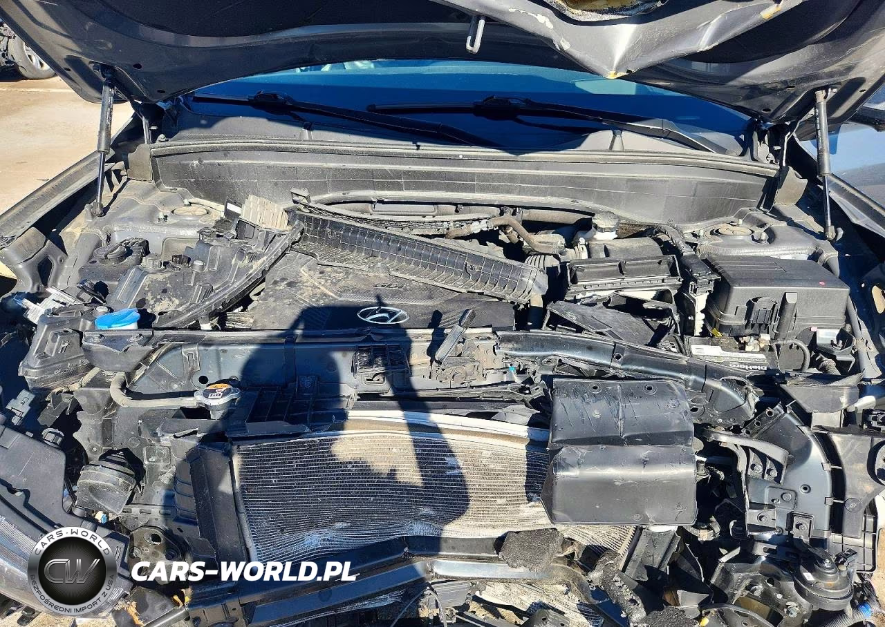 2022 Hyundai Palisade Calligraphy VIN:KM8R74HE8NU346965 - 12