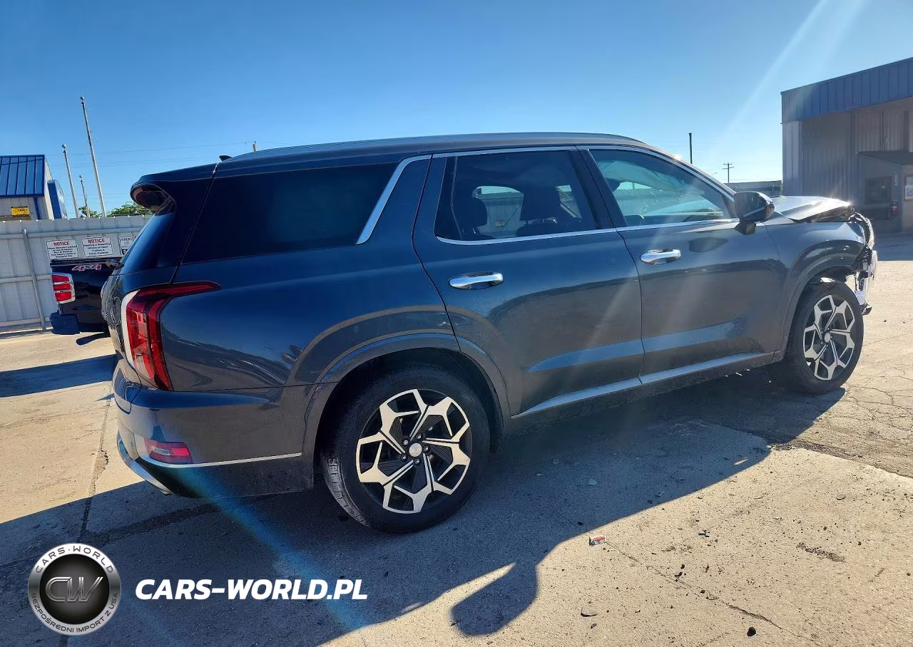 2022 Hyundai Palisade Calligraphy VIN:KM8R74HE8NU346965 - 3