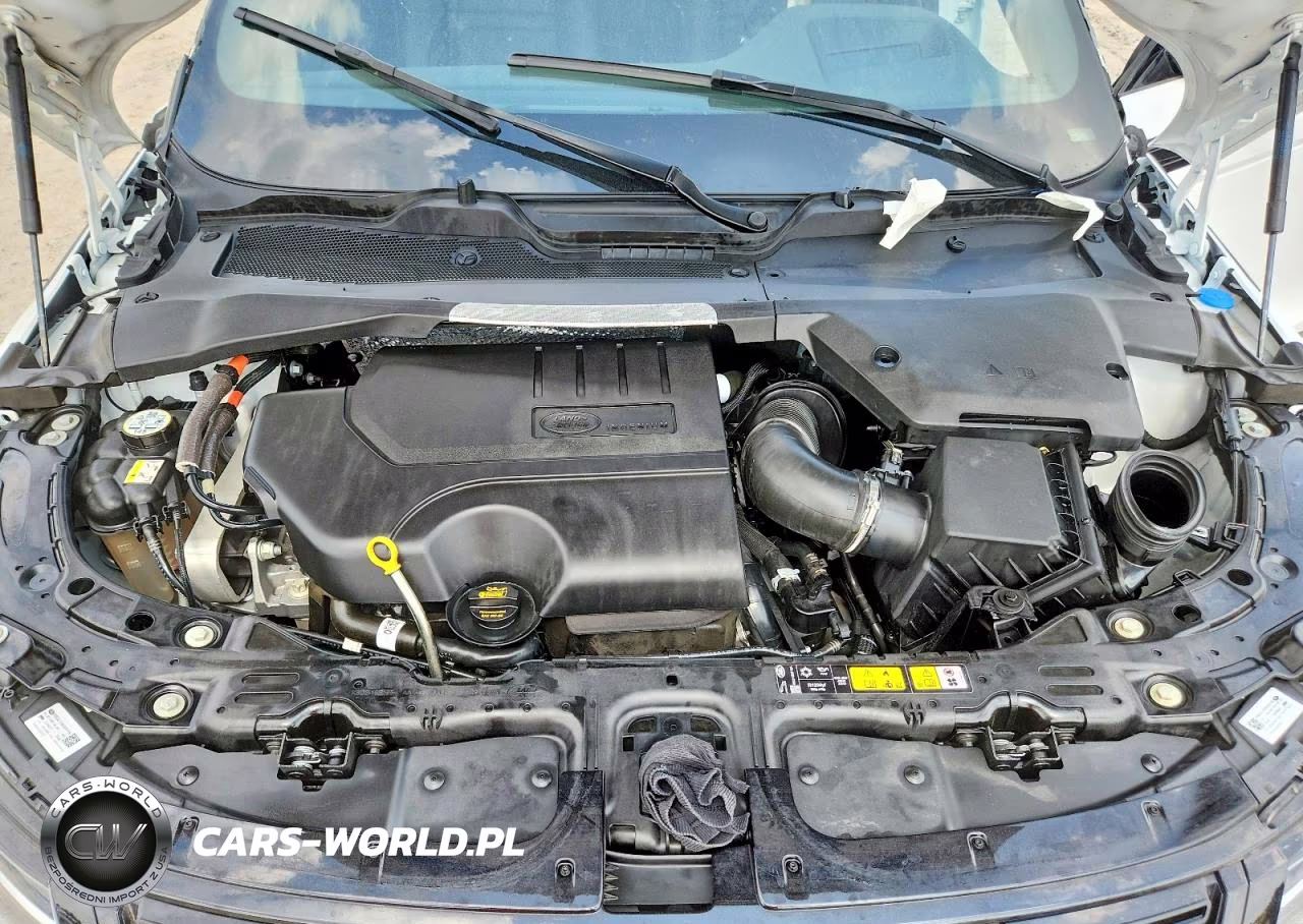 2024 Land Rover Range Rover Evoque Dynamic Se VIN:SALZL2FX0RH234757 - 11