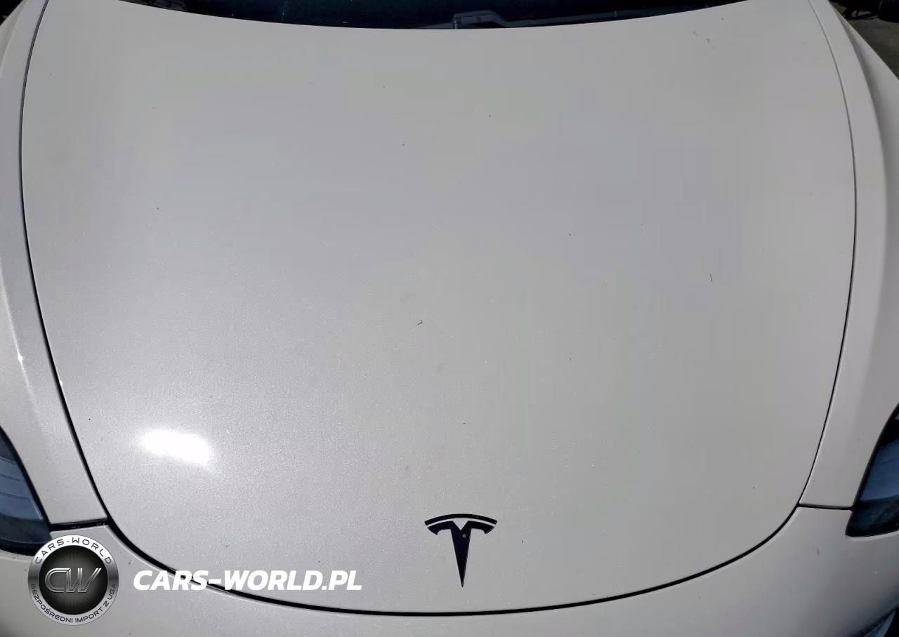 2020 Tesla Model 3 VIN:5YJ3E1EB7LF798226 - 11