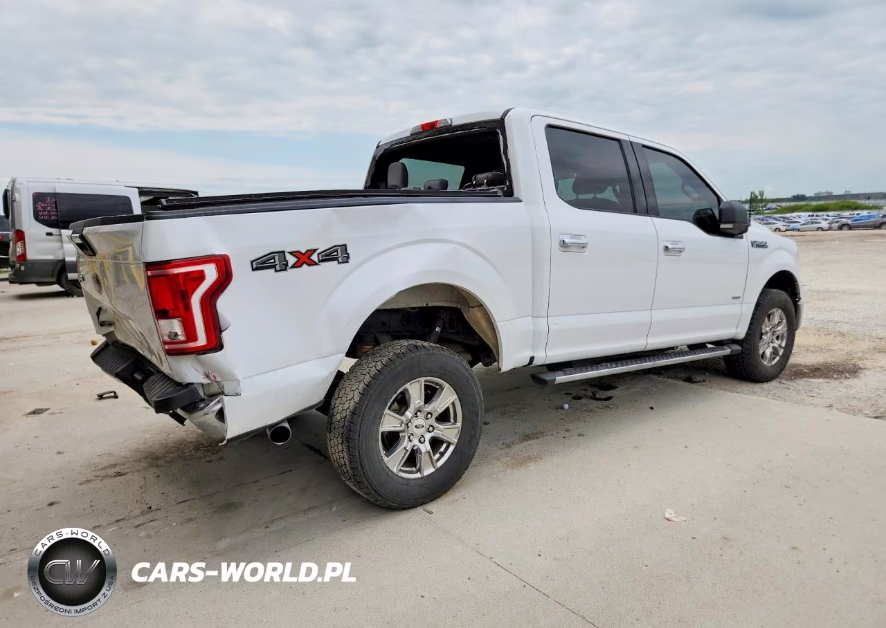 2016 Ford F150 Supercrew VIN:1FTEW1EP2GFA12741 - 3