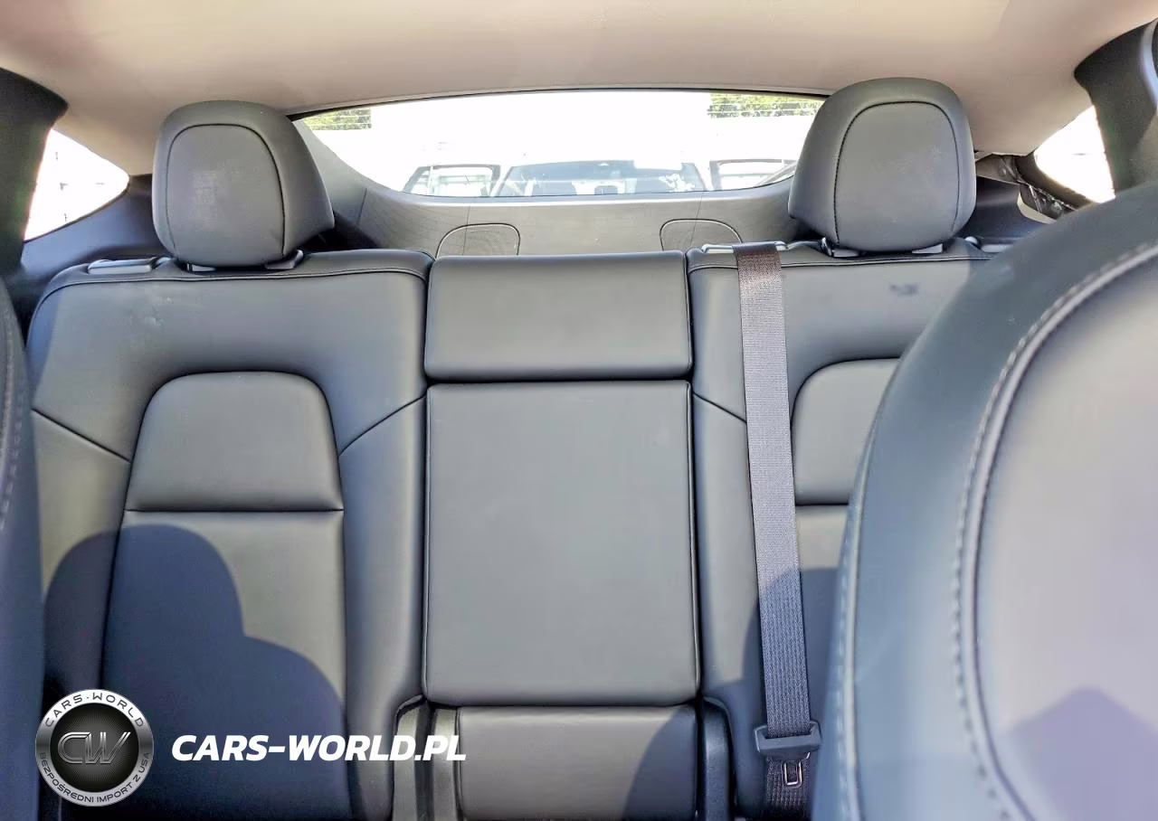 2024 Tesla Model Y VIN:7SAYGDED6RF055006 - 10