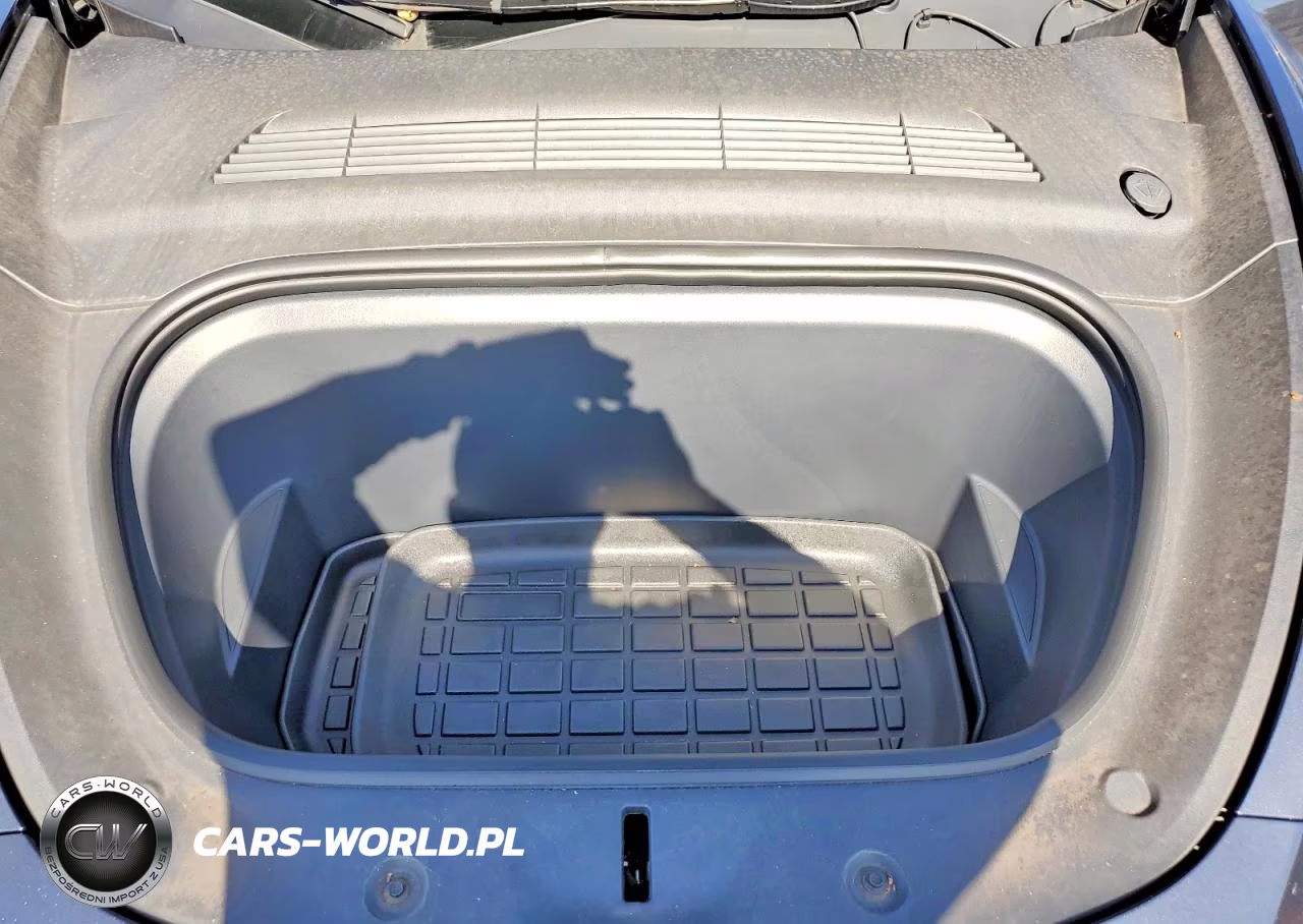 2024 Tesla Model Y VIN:7SAYGDED6RF055006 - 12