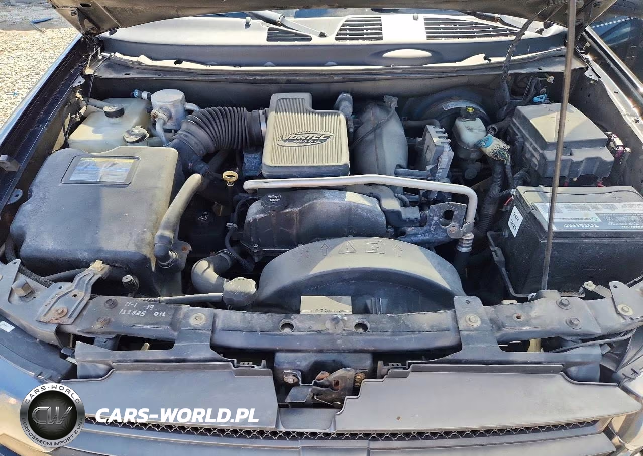 2008 Chevrolet Trailblazer Ls VIN:1GNDT13S382141535 - 12