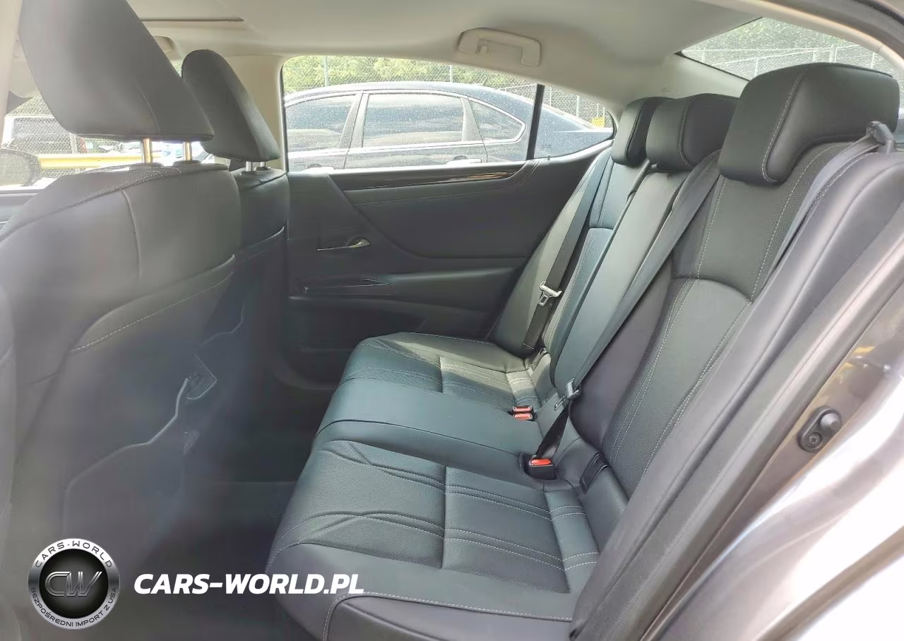 2020 Lexus Es 300H Luxury VIN:58AE21B16LU012411 - 10