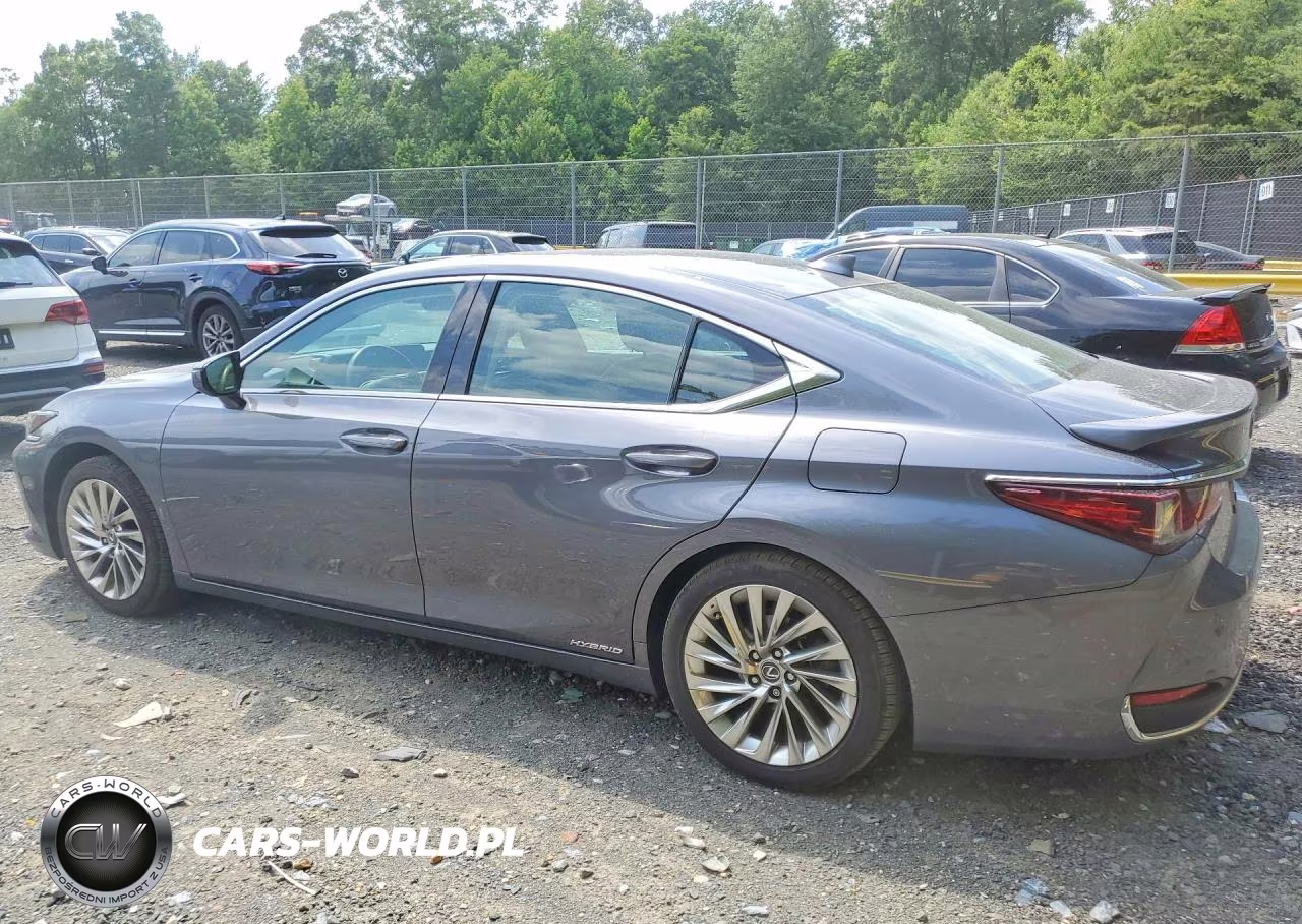 2020 Lexus Es 300H Luxury VIN:58AE21B16LU012411 - 2