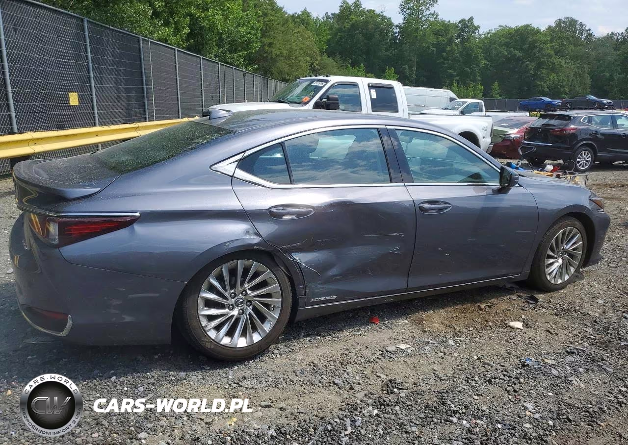 2020 Lexus Es 300H Luxury VIN:58AE21B16LU012411 - 3