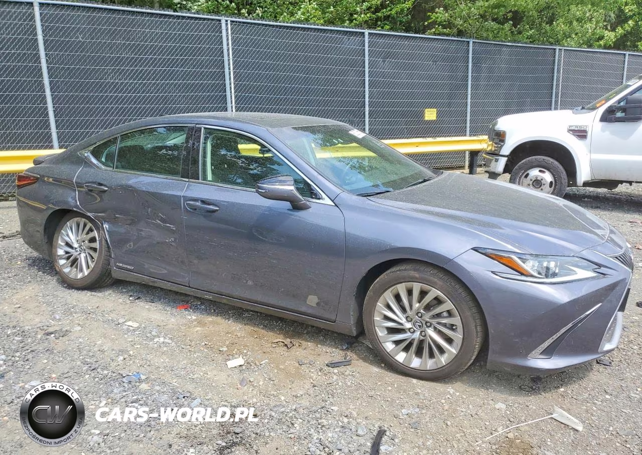2020 Lexus Es 300H Luxury VIN:58AE21B16LU012411 - 4