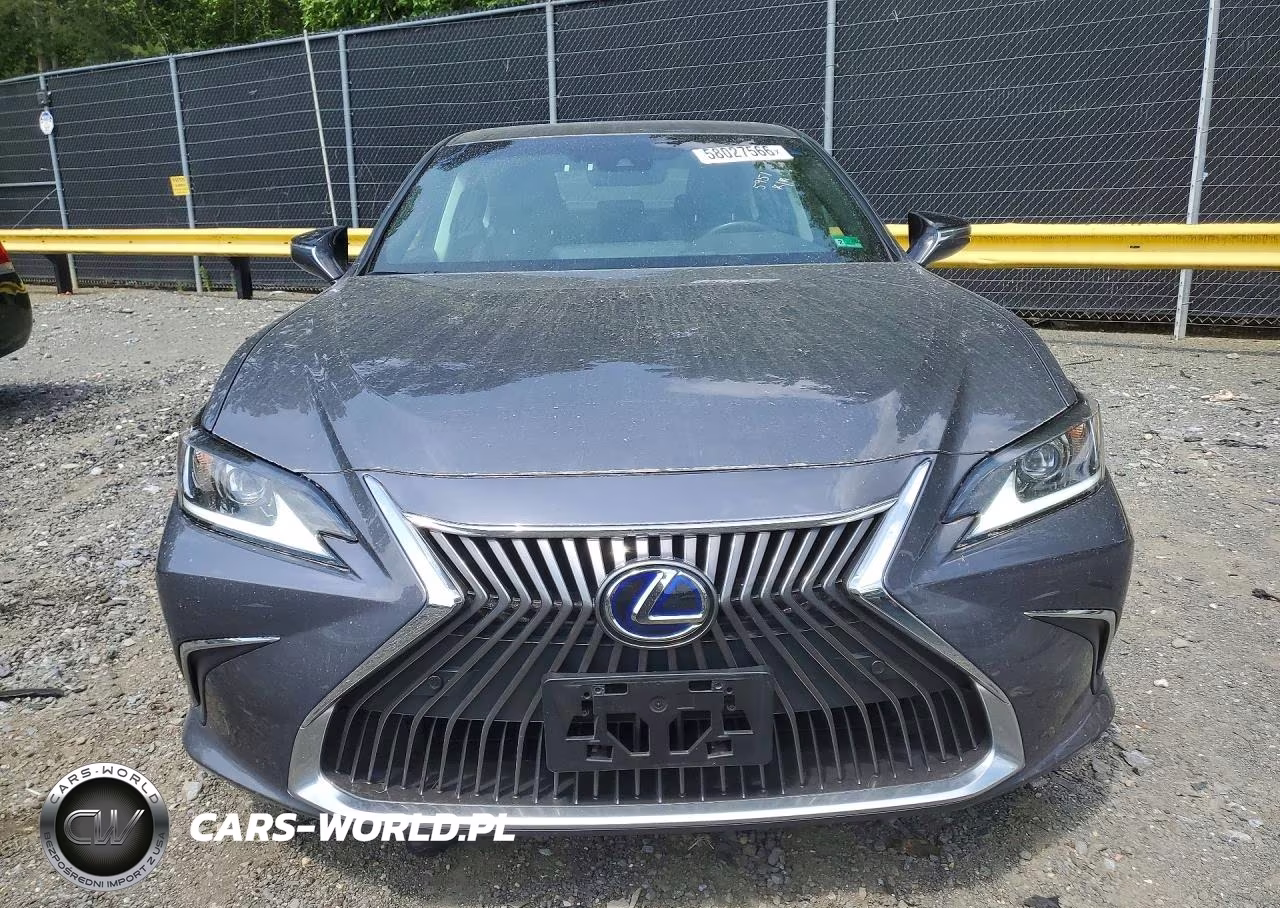2020 Lexus Es 300H Luxury VIN:58AE21B16LU012411 - 5
