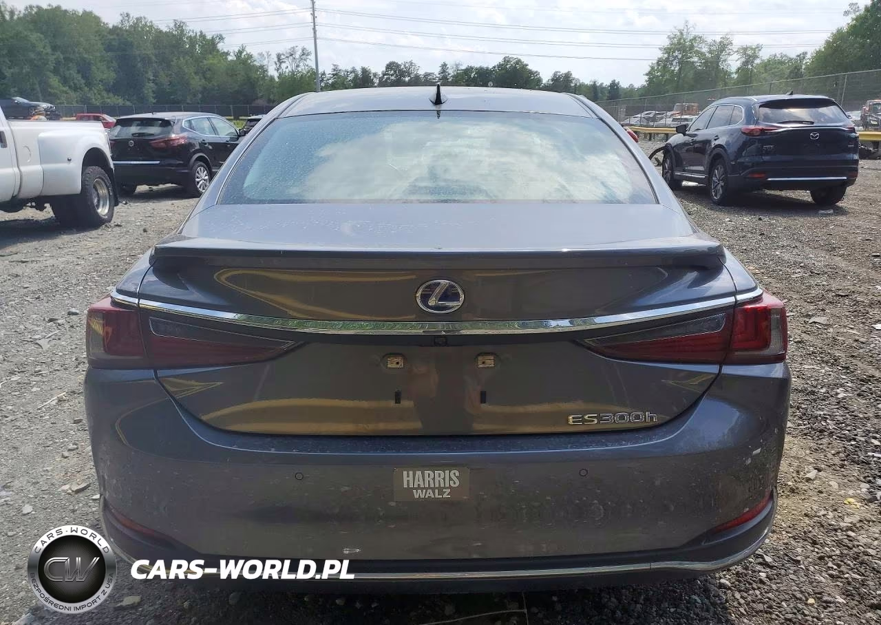 2020 Lexus Es 300H Luxury VIN:58AE21B16LU012411 - 6