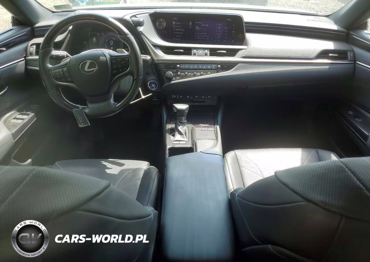 2020 Lexus Es 300H Luxury VIN:58AE21B16LU012411 - 8