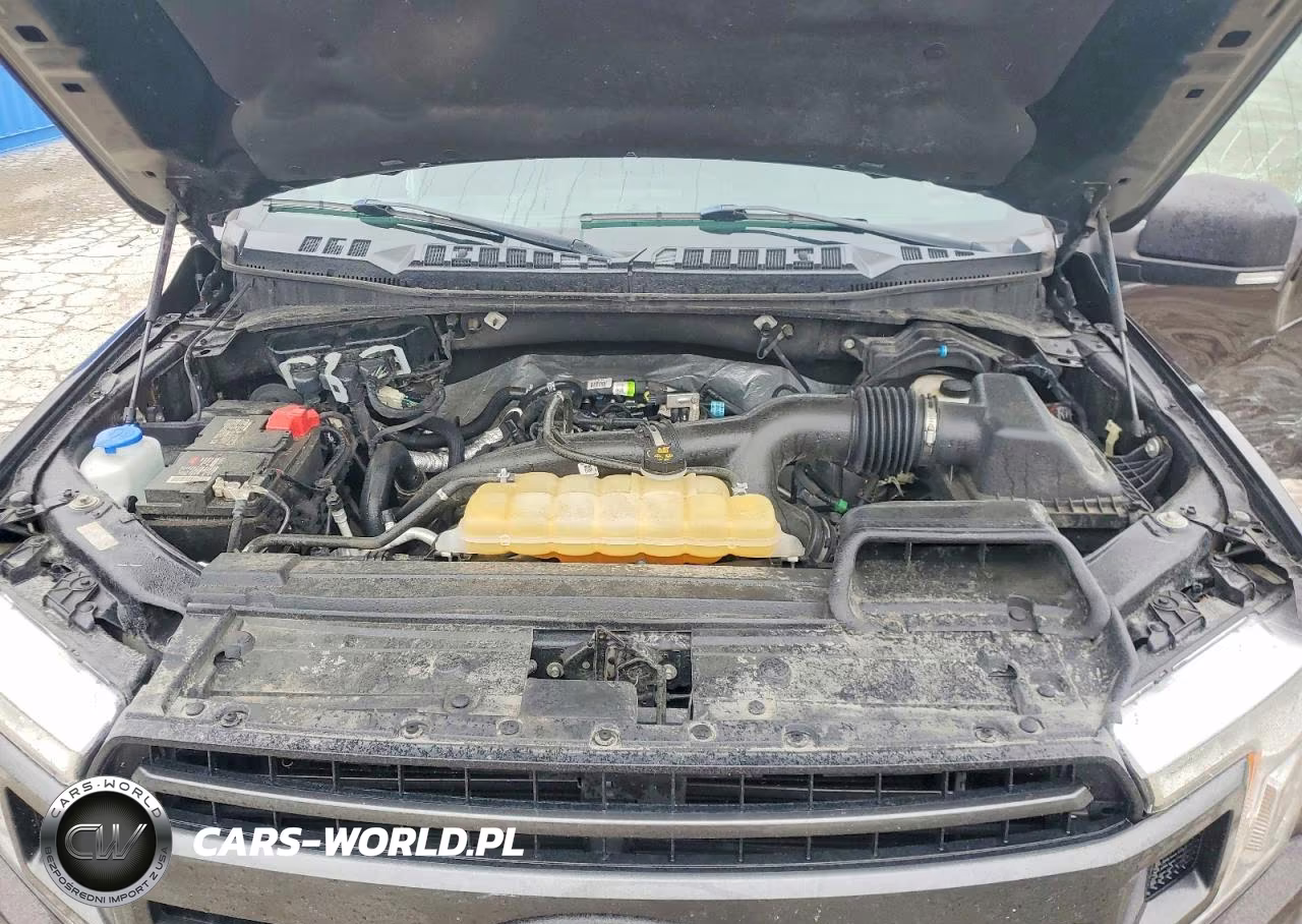 2019 Ford F150 Supercrew VIN:1FTEW1EP3KFD31770 - 11