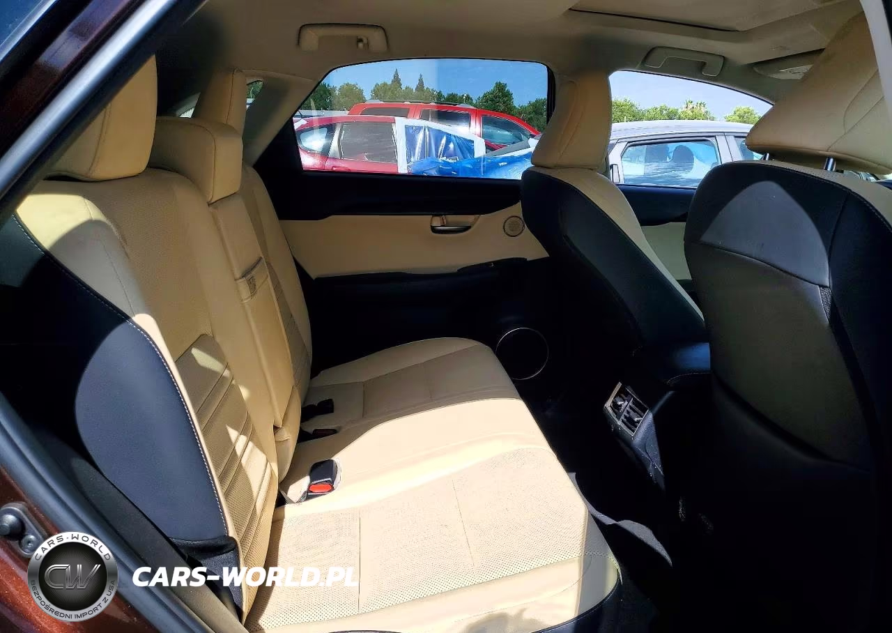 2019 Lexus Nx 300 Base VIN:JTJYARBZ8K2145288 - 10