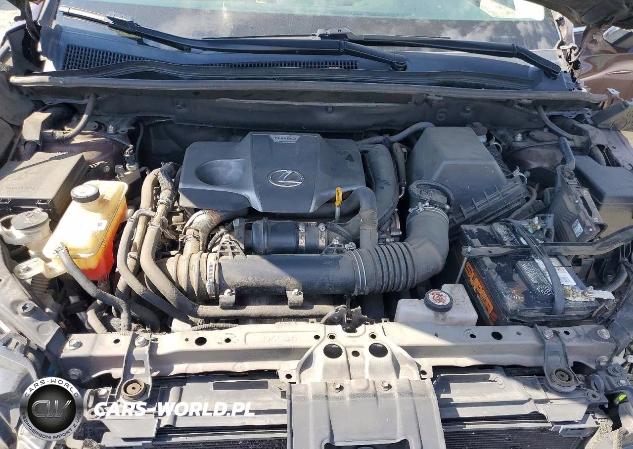 2019 Lexus Nx 300 Base VIN:JTJYARBZ8K2145288 - 11