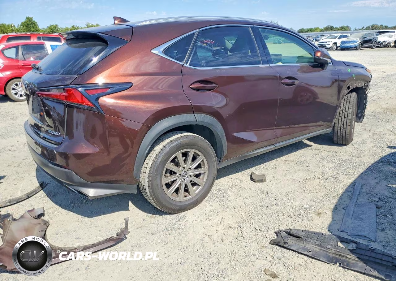 2019 Lexus Nx 300 Base VIN:JTJYARBZ8K2145288 - 3