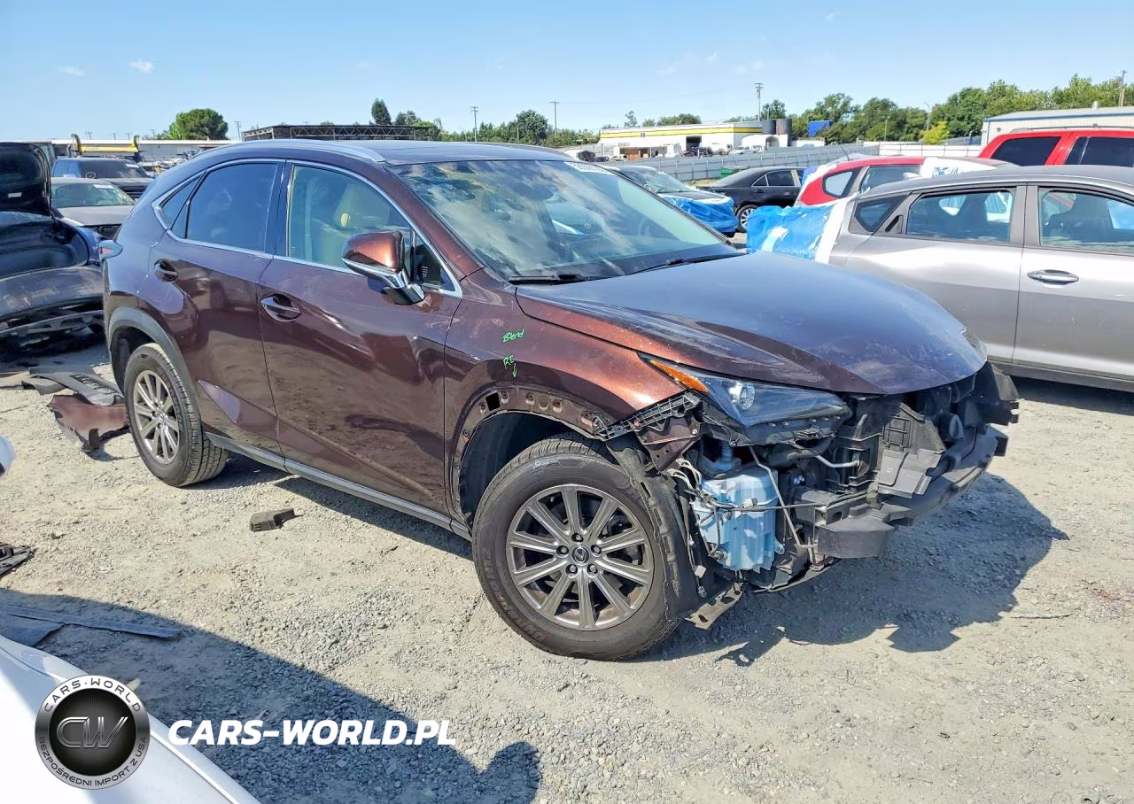 2019 Lexus Nx 300 Base VIN:JTJYARBZ8K2145288 - 4