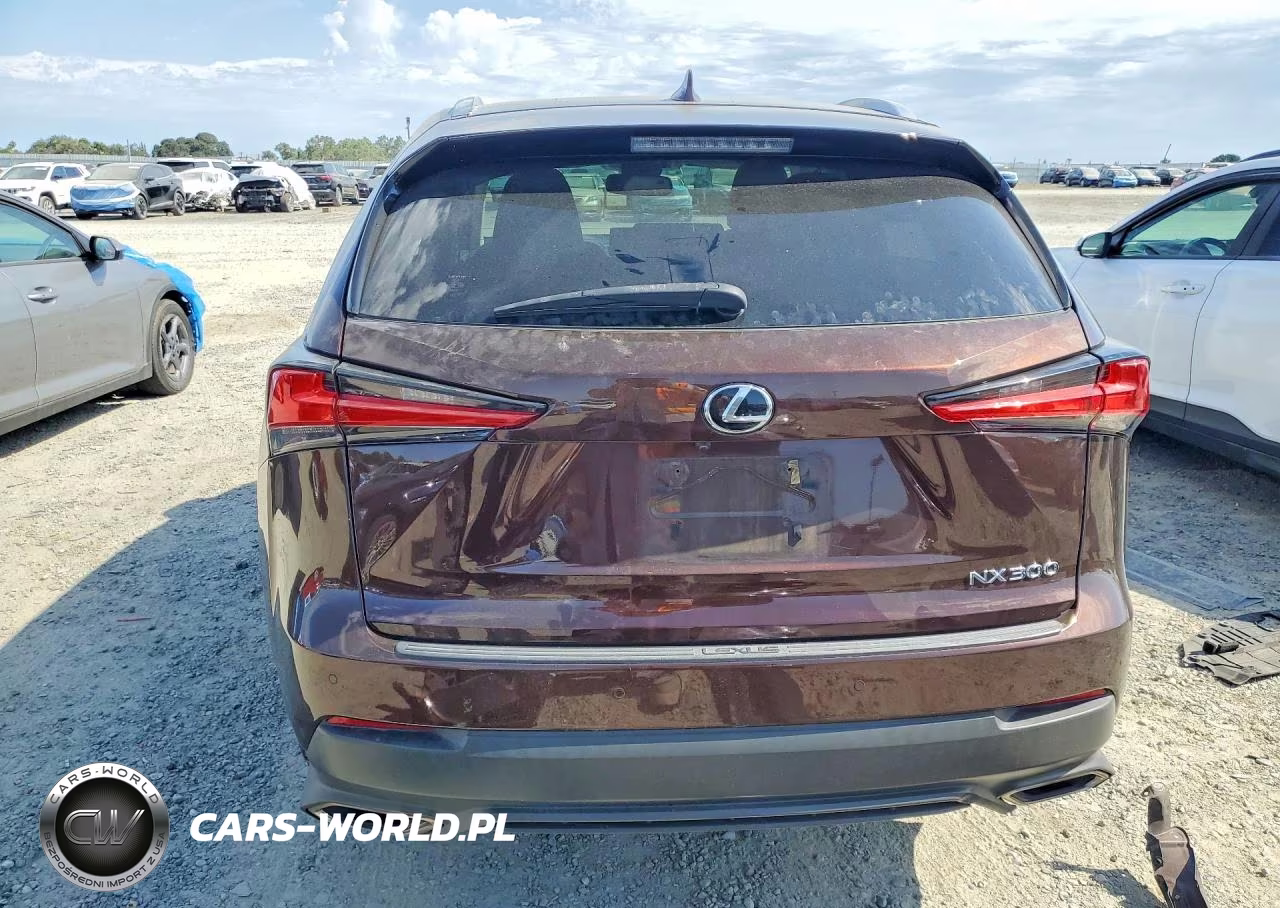 2019 Lexus Nx 300 Base VIN:JTJYARBZ8K2145288 - 6