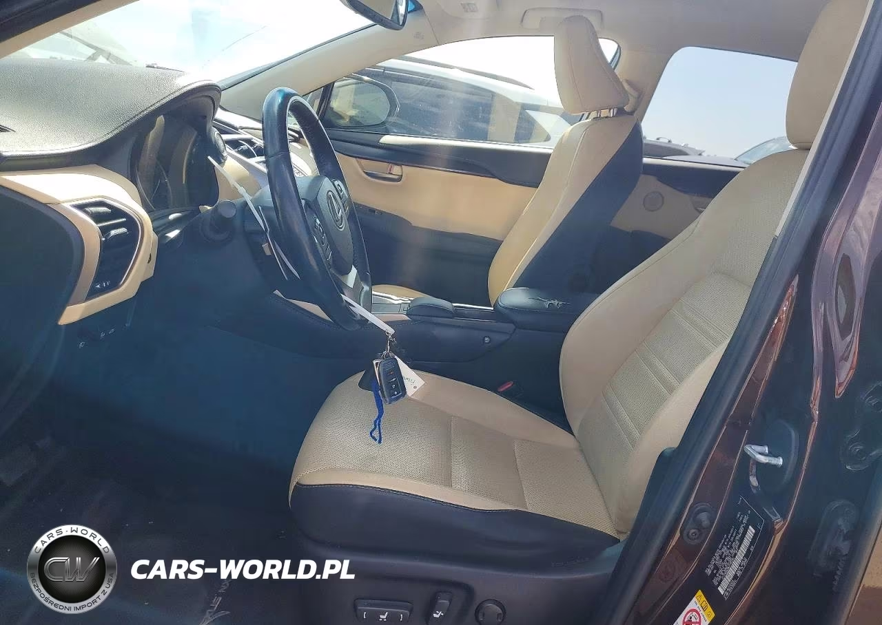 2019 Lexus Nx 300 Base VIN:JTJYARBZ8K2145288 - 7