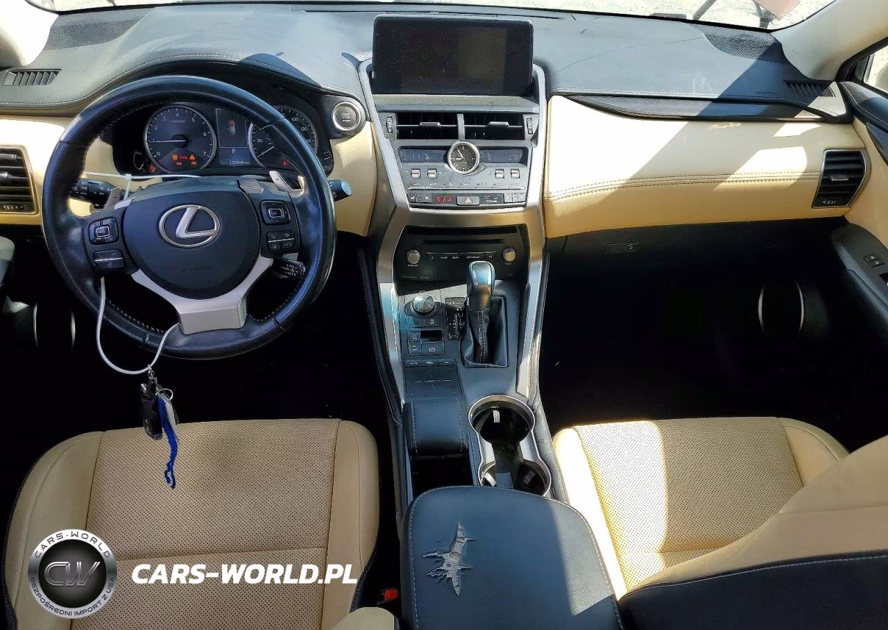 2019 Lexus Nx 300 Base VIN:JTJYARBZ8K2145288 - 8