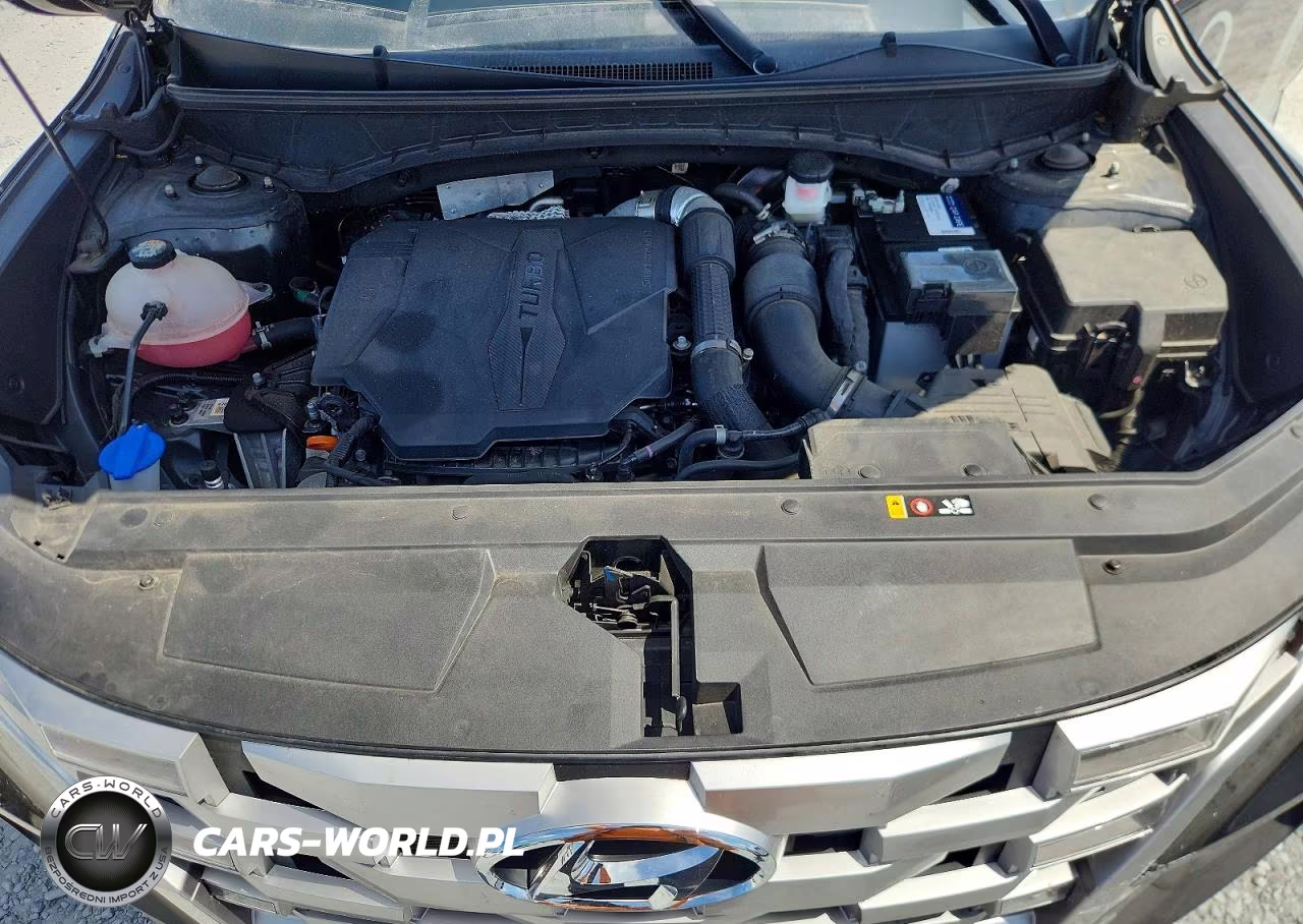 2022 Hyundai Santa Cruz Sel Premium VIN:5NTJDDAF3NH010827 - 11