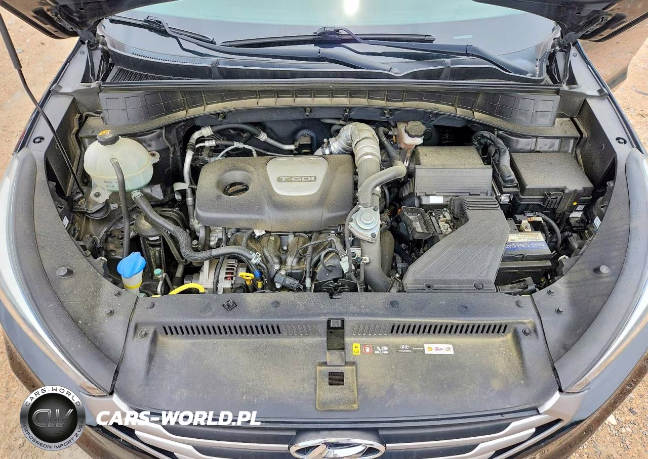 2017 Hyundai Tucson Eco VIN:KM8J33A20HU294576 - 12